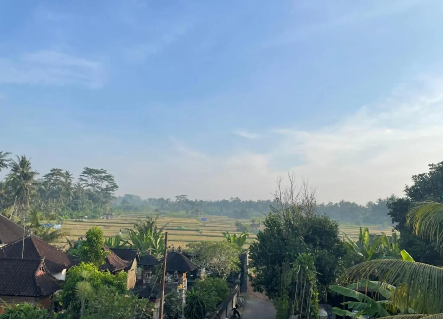 Nuri 47 Guest House Ubud